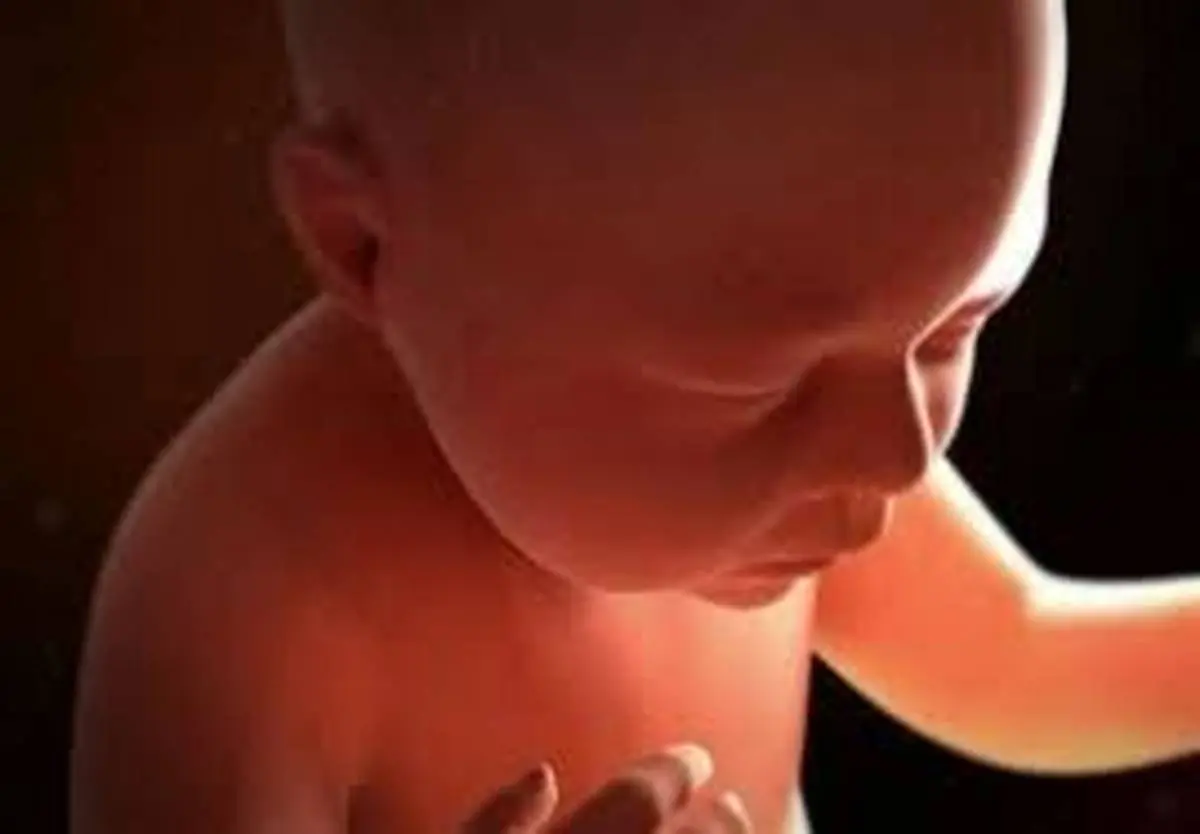 تصاویر واقعی از عمل وحشیانه سقط جنین + فیلم