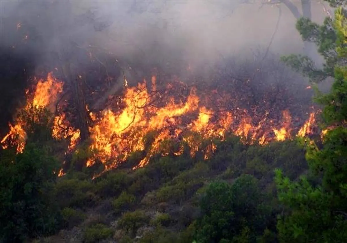 آتش سوزی مهیب در ارتفاعات سبزپوشان