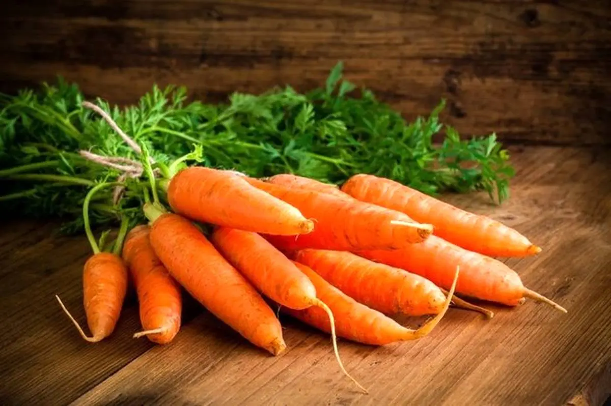قیمت هویج ارزان شد / قیمت هر کیلو هویج 12 هزار تومان 