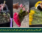 کیف طلقی گل جدید پلکسی (ترند 2023) در فضای مجازی غوغا کرد!