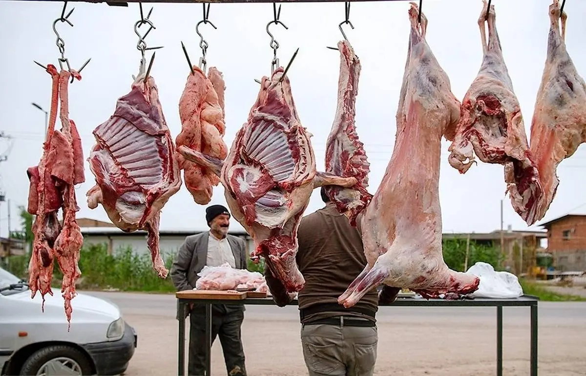 شبیخون گوشت های وارداتی به قیمت گوشت | قیمت گوشت ارزان شد