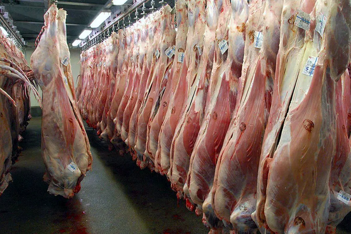 قیمت گوشت سر به فلک کشید | جزئیات افزایش قیمت گوشت قرمز 