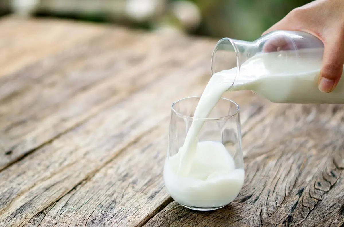 چه مواد غذایی را نباید با شیر بخوریم ؟