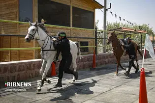 پلیس اسب سوار ایران را بیشتر بشناسید + فیلم