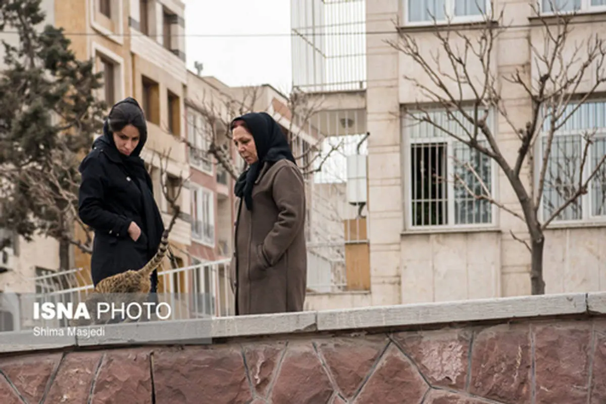 تهرانی ها متقاضی جدی خانه های کوچک شدند 