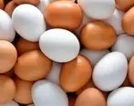 آیا شستن تخم مرغ‌ها کار درستی است؟