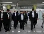 دبیر شورای عالی مناطق آزاد کشور وارد منطقه آزاد اروند