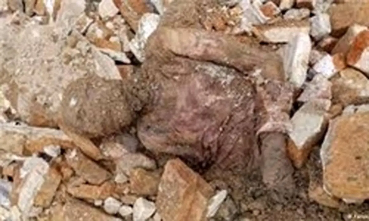 جزئیات جدید از ماجرای کشف مومیایی در شهر ری