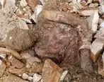 جزئیات جدید از ماجرای کشف مومیایی در شهر ری