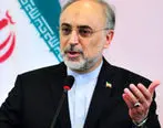 گزینه ایران برای مقابله با نقض برجام