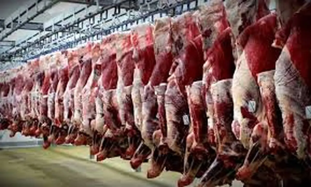 جزئیات فروش گوشت گوسفند مرده در شیراز