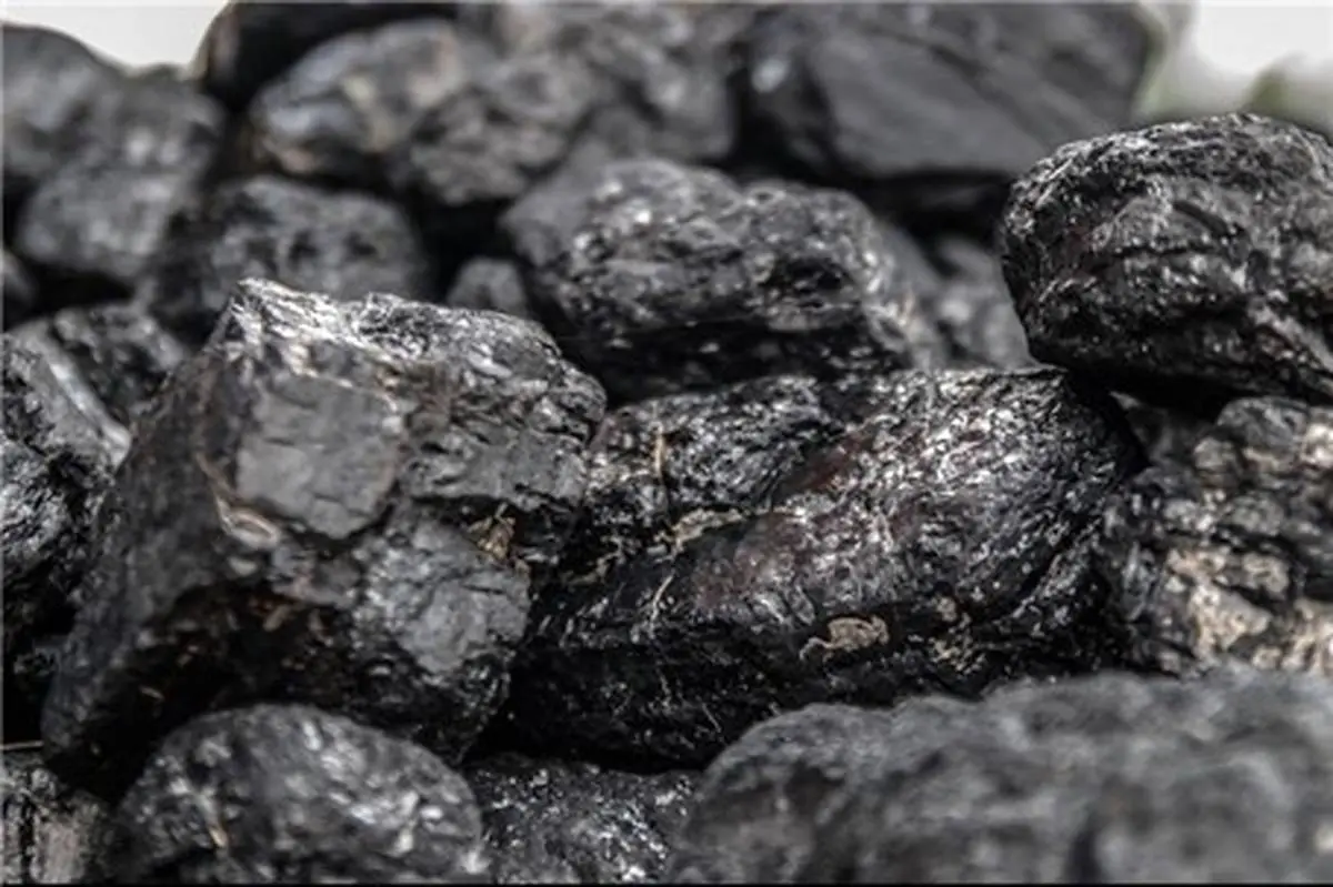 افزایش ۱۰ درصدی تولید کنسانتره زغال سنگ ایمیدرو