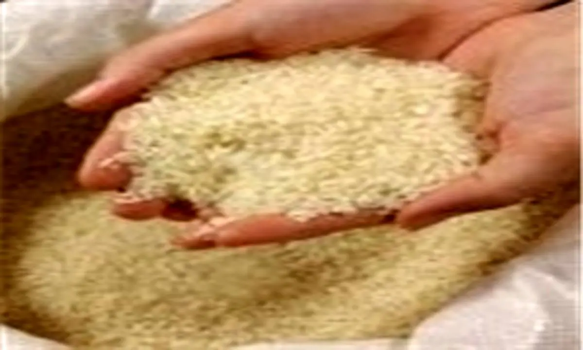 100 هزار تن برنج تایلندی در راه ایران