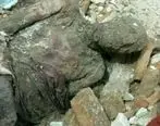 تأیید رسمی دفن جسد مومیایی منسوب به رضاشاه