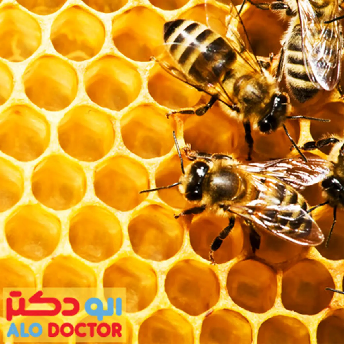 روش تشخیص سریع عسل اصل از تقلبی! +تصویر