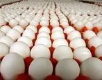 کاهش قیمت تخم مرغ در بازار | علت فروش تخم مرغ کمتر از قیمت مصوب چیست ؟