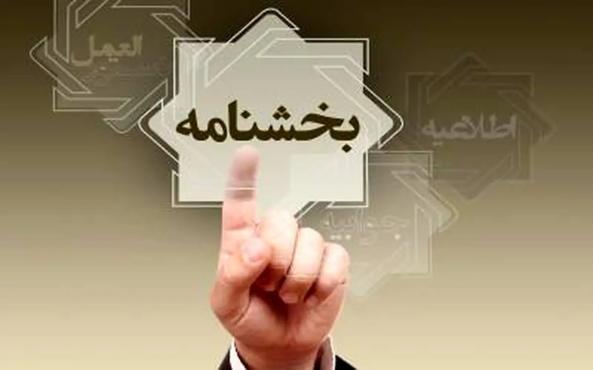 امکان وثیقه گذاری 35 نوع دارایی فراهم می شود