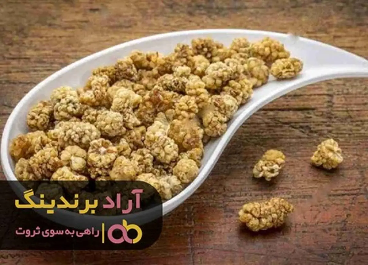 مزه شیرین ثروتمند شدن با توت خشک