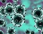 آخرین آمار جهانی مبتلایان ویروس کرونا