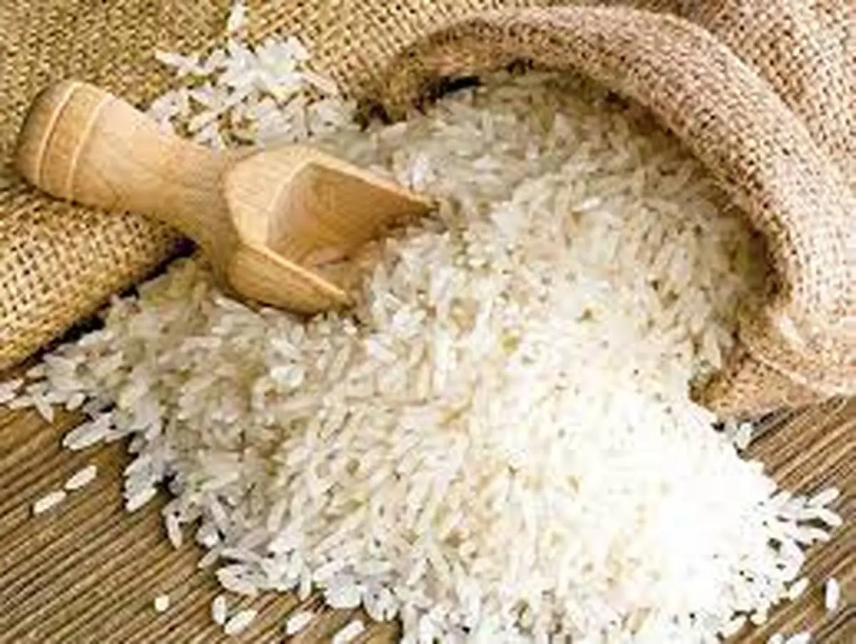 افزایش اندک قیمت جهانی برنج 