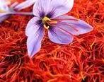 قیمت آتی زعفرانِ دی ماه در بورس کالا از 52 میلیون تومان گذشت

