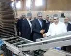  400 میلیارد ریال تسهیلات بانک توسعه تعاون برای افزایش ظرفیت تولیدی شرکت زرین ظفر خرم‌آباد 