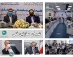 انتقاد دبیرکل سندیکای بیمه گران از تاخیر در روند راه اندازی صندوق بیمه همگانی حوادث طبیعی
