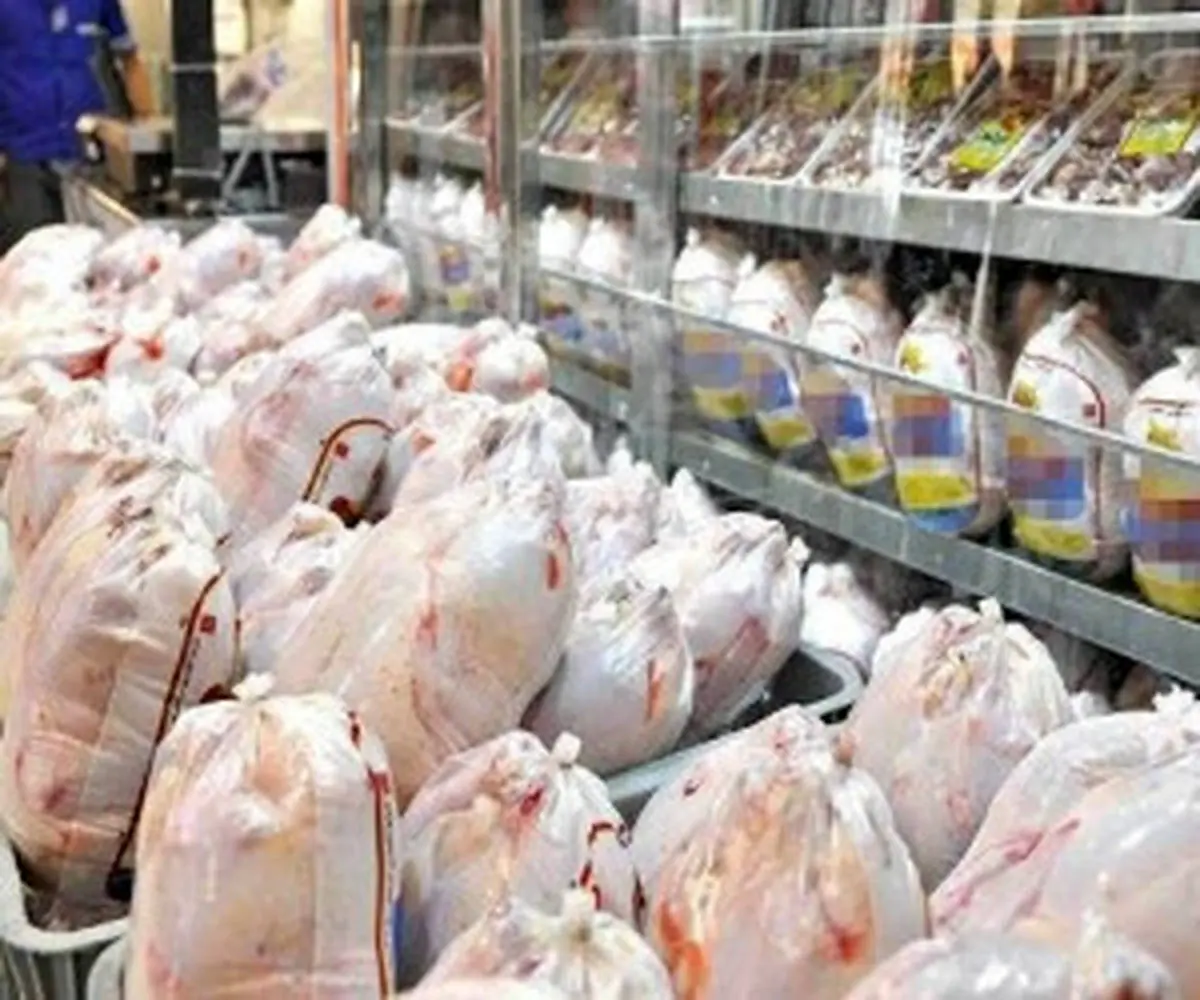 خبر مهم از قیمت مرغ / با آزاد شدن صادرات مرغ بازار مرغ به کدام سو میرود