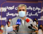 600 هزار نفر از کارگران صنایع خودرو و قطعه سازی واکسینه می شوند