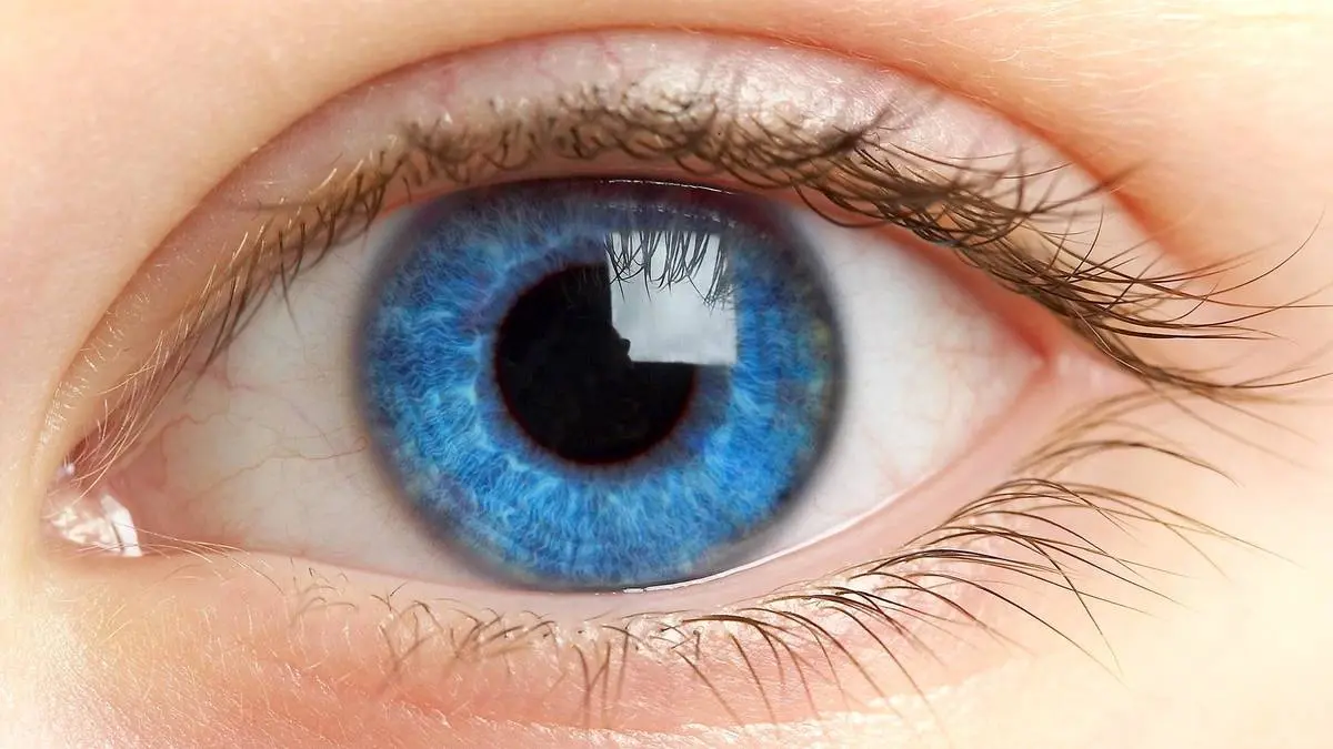 چشم های زیبای جهان متعلق به چه آدمی است؟ + تصاویر