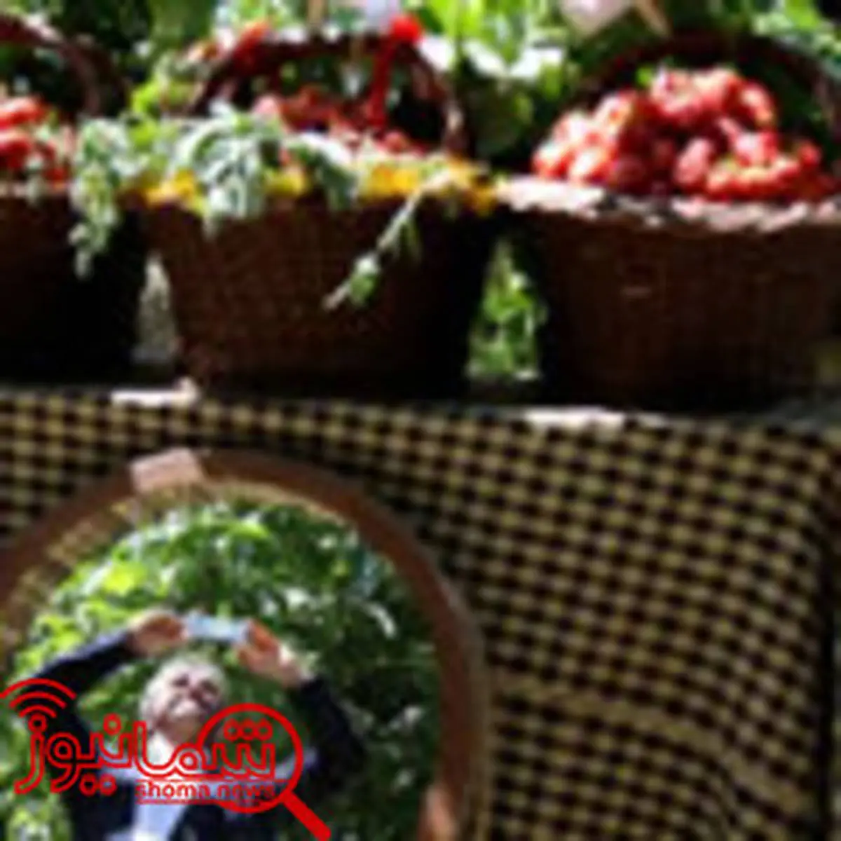 جشنواره توت فرنگی در «شیان»