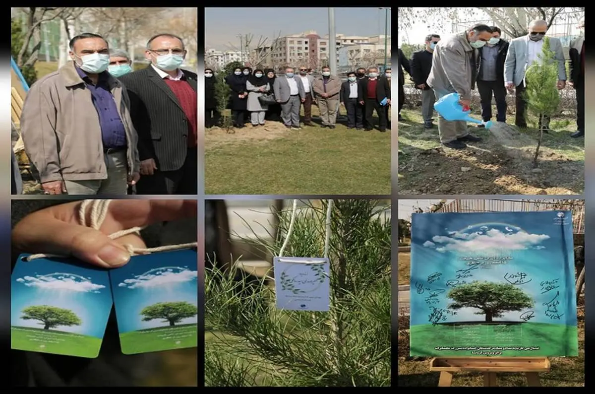 مراسم گرامی‌داشت روز درختکاری و یادبود درگذشتگان بیماری کرونا در شرکت مخابرات ایران برگزار شد
