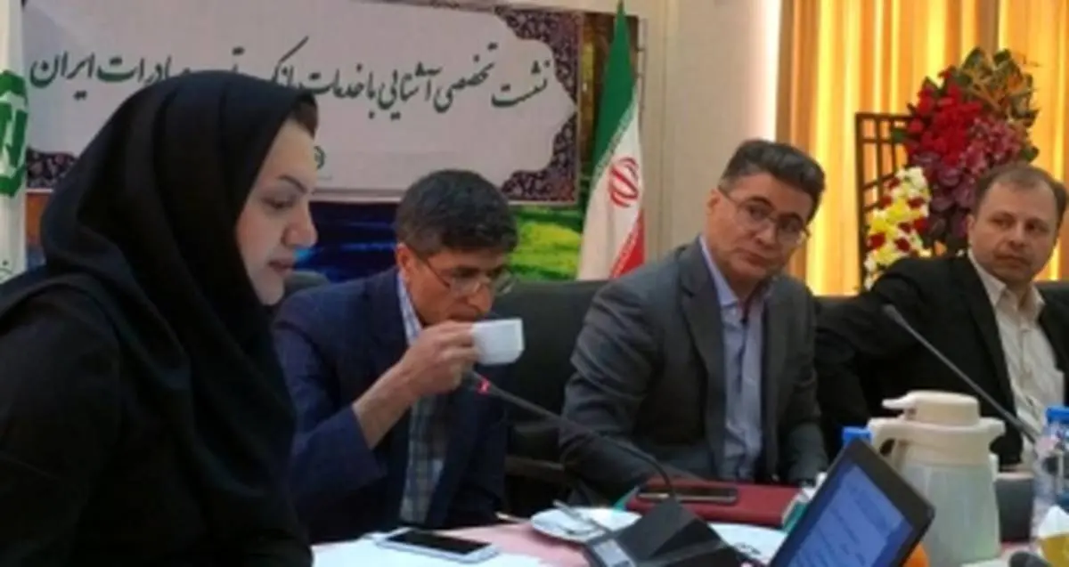 راهکار‌های تامین ارز مورد نیاز تولید در بانک توسعه صادرات ایران تشریح شد