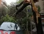 اعلام خسارات اولیه طوفان در تهران
