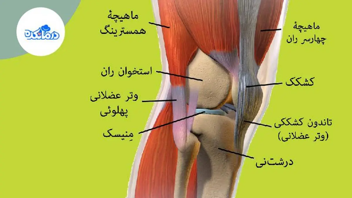 روش‌های تشخیص آرتروز، علائم آرتروز و ساییدگی مفصل زانو چیست؟