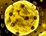 یافته‌های جدید درباره «ویروس کرونا»