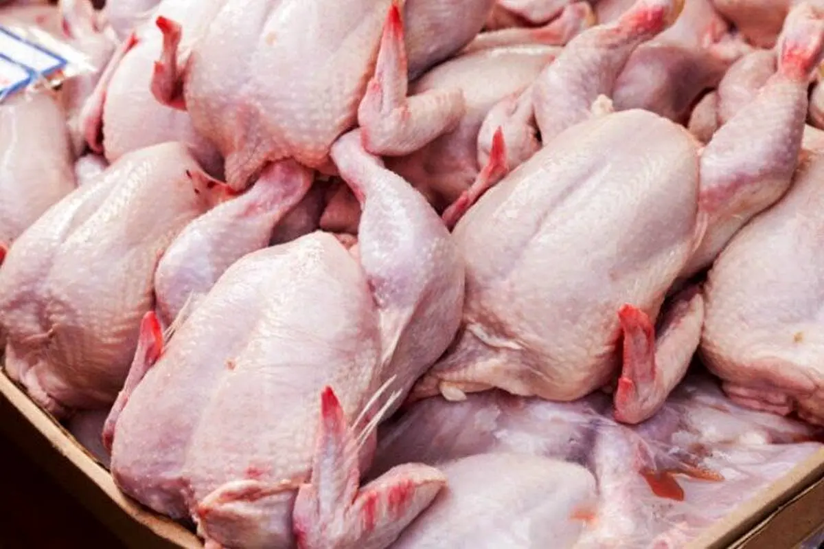 قیمت مرغ افزایش یافت | اعلام جدیدترین قیمت‌ها در بازار