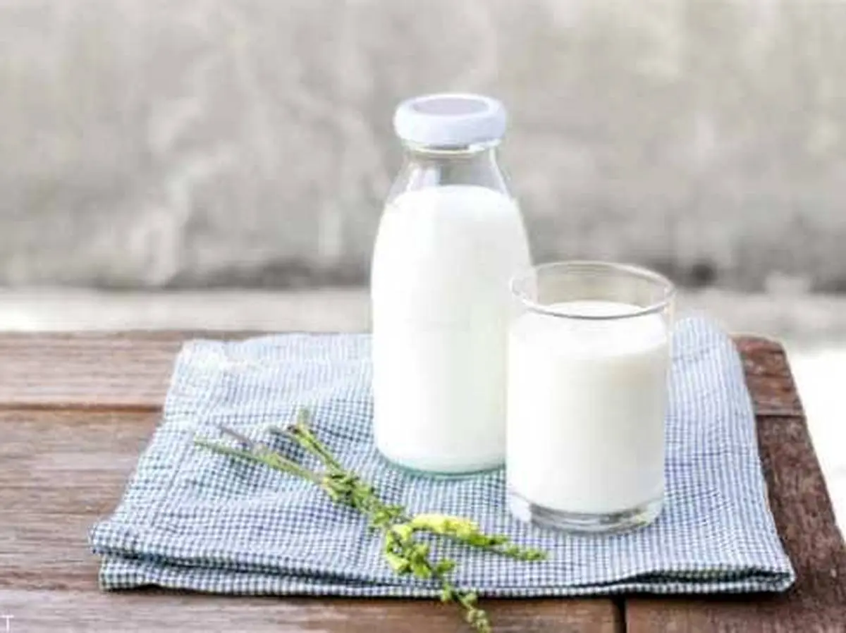 چه زمانی از روز نوشیدن شیر به بدنمان کمک می کند؟