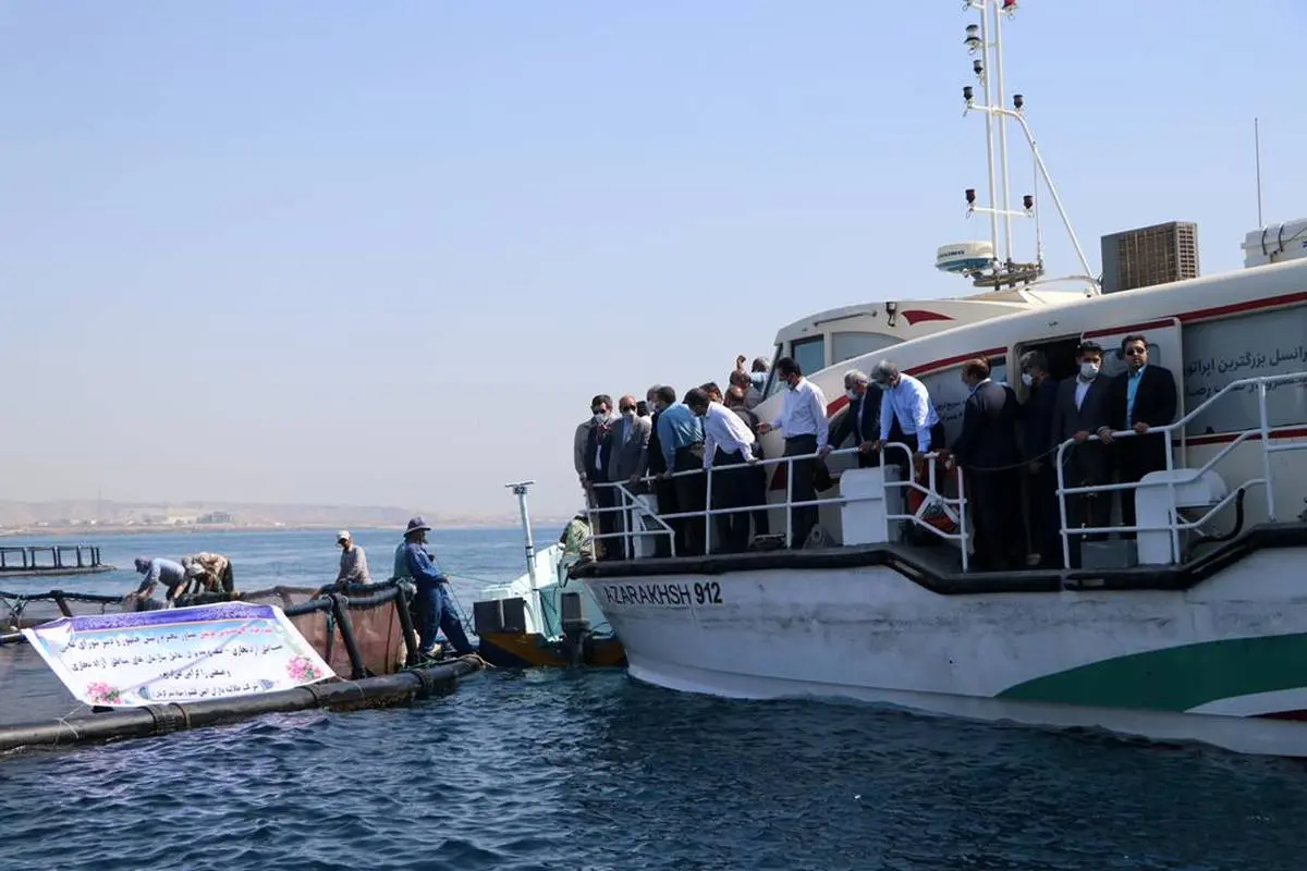 بازدید مشاور رییس جمهور و مدیران عامل مناطق آزاد کشور از «مزرعه پرورش ماهی در دریا» جزیره قشم