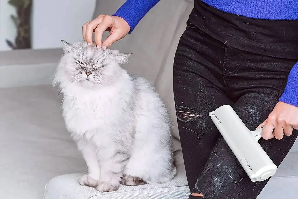چطوری مو گربه رو از لباس پاک کنیم؟ | روش پاک کردن مو گربه از لباس
