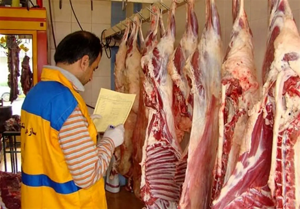 افزایش قیمت گوشت شایعه است |  بزرگ نمایی در قیمت گوشت 