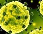 آخرین آمار از تعداد مبتلایان به ویروس کرونا در ایران