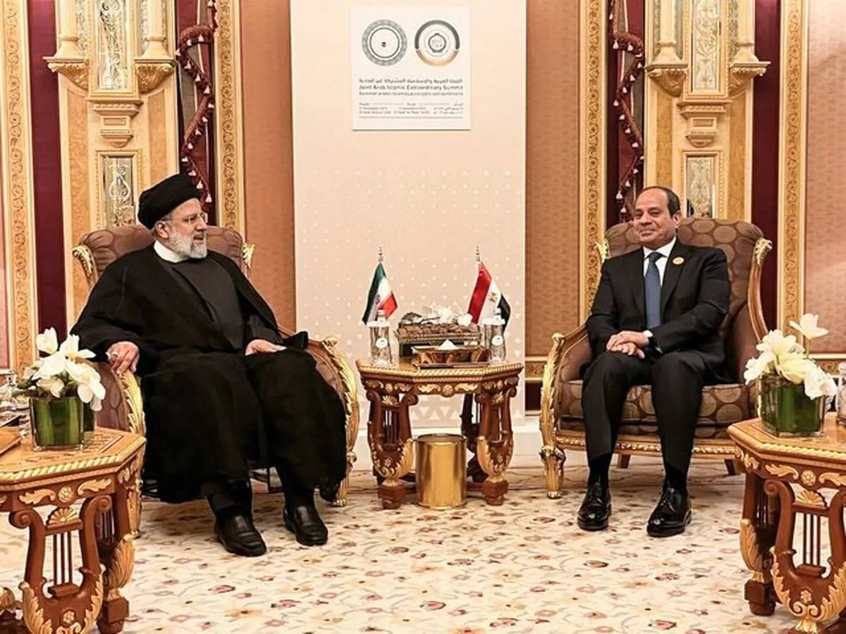 «فلسطین» باعث افزایش سطح همکاری‌های سیاسی ایران و مصر شده است
