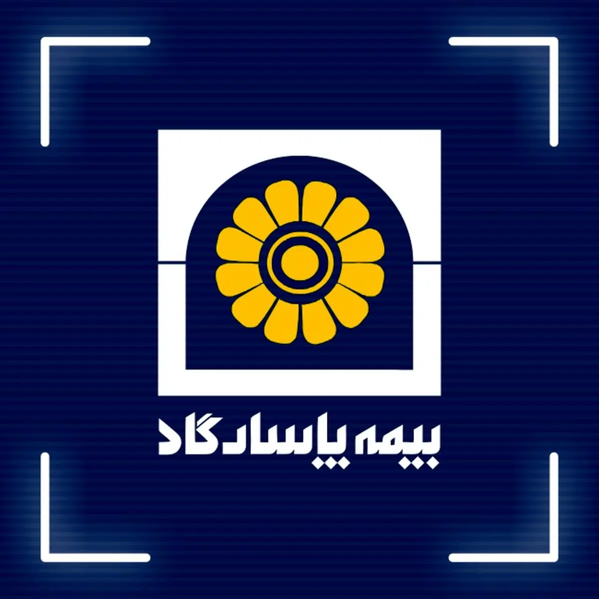 بیمه پاسارگاد، رتبه های تک رقمی، رشدهای دو رقمی
