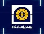 بیمه پاسارگاد، رتبه های تک رقمی، رشدهای دو رقمی
