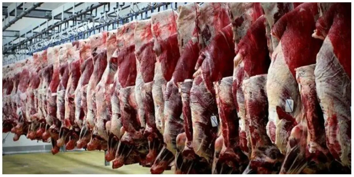 رشد عجیب قیمت گوشت در آستانه شب عید| جدول قیمت انواع گوشت قرمز در بازار امروز