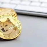 خبرهای خوش برای دوج کوین | بنیاد Dogecoin پس از 6 سال وقفه باز می گردد

