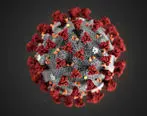 ۱۲ تغییر جدید درباره کرونا ویروس