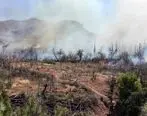 ارتفاعات دارآباد در آتش سوخت