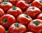 قیمت صعودی گوجه فرنگی | علت گرانی بیش از حد آن چیست ؟